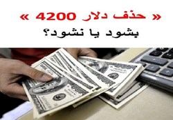 حذف ارز ۴۲۰۰ تومانی چه بر سر اقتصاد ایران می‌آورد؟