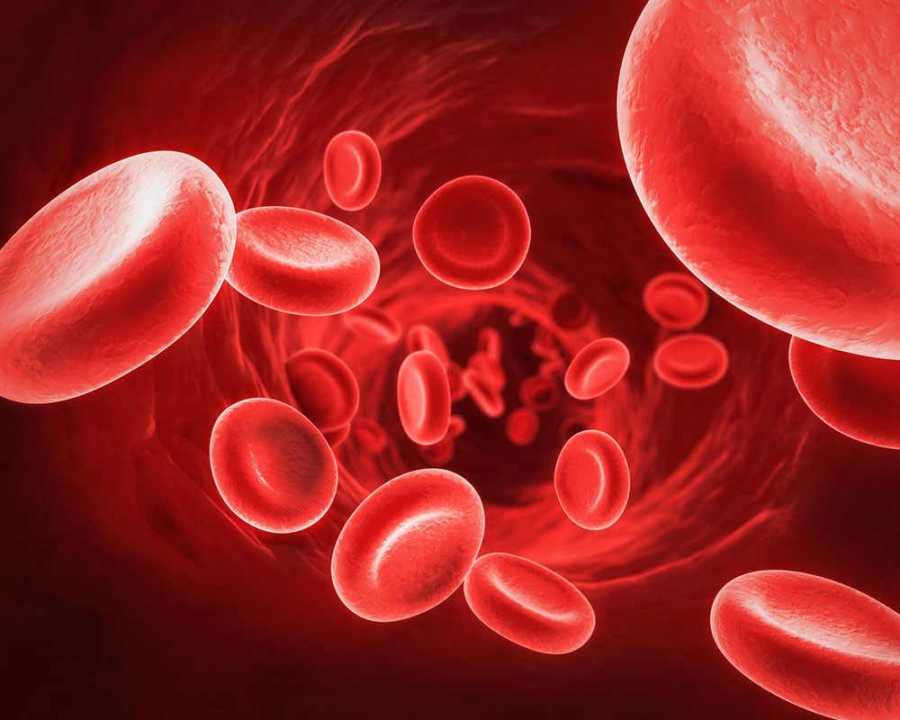 مهمترین علائم کم خونی چیست ؟