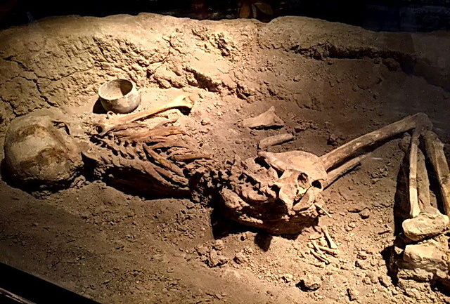 کشف اسکلت ۵۰ هزار ساله در کرج