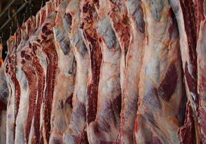 توزیع گوشت تازه گوسفندی به صورت نا محدود با قیمت مصوب