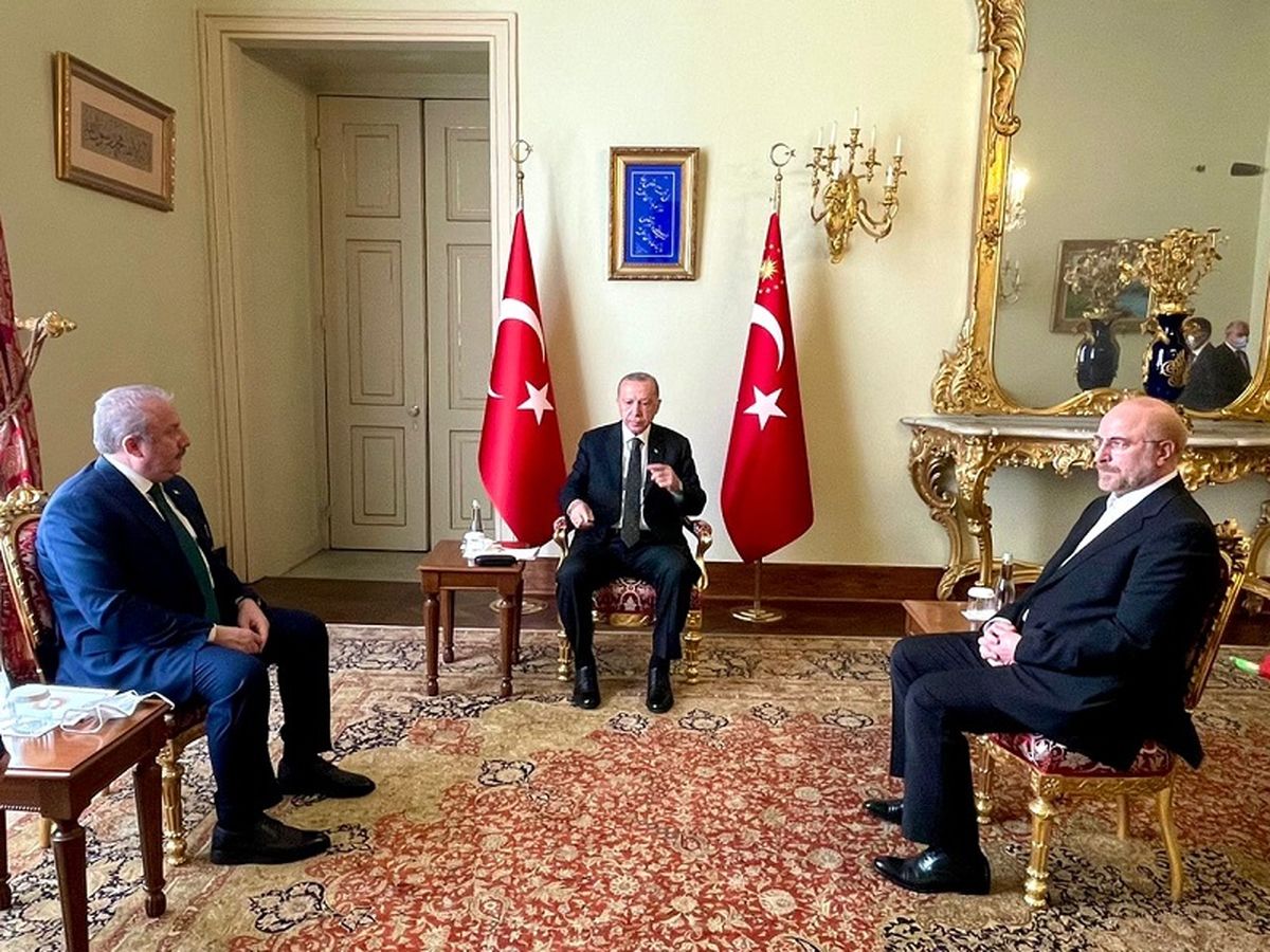آیا پروتکل تشریفات در دیدار اردوغان با قالیباف رعایت شد؟