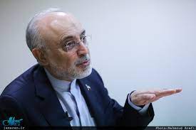 علی‌اکبر صالحی: شأن ملت بزرگ و تاریخ‌ساز ایران شرایط کنونی نیست