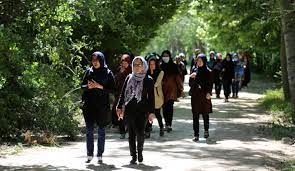 ۴۰ درصد دختران ۱۵ تا ۲۴ سال در ایران، نه درسی و نه شغلی!