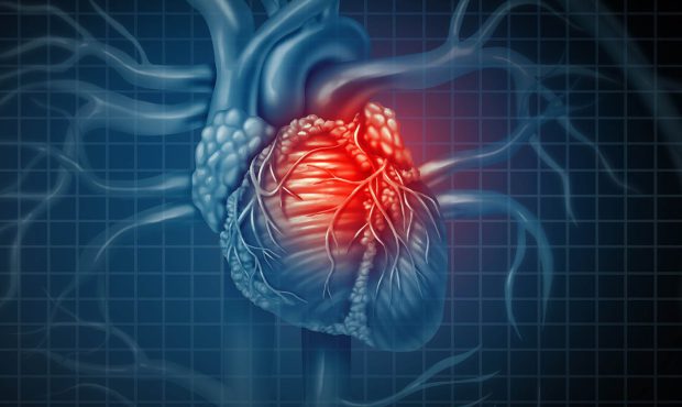درمان فشار خون؛ معضلی برای نارسایی‌ قلبی که در کلینیک تخصصی قلب و فشار تپش درمان می‌شود