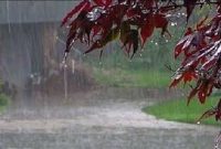 سامانه بارشی هفته آتی وارد کشور می‌شود/باران در راه است