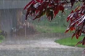 سامانه بارشی هفته آتی وارد کشور می‌شود/باران در راه است