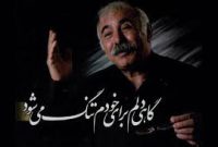 محمدعلی بهمنی غزل خداحافظی سرود/ای وای غزل!