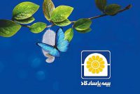 سرمایه بیمه پاسارگاد ؛ سازمان فروش مویرگی و توانا سرمایه بیمه پاسارگاد ؛ سازمان فروش مویرگی و توانا