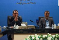 دکتر قائم‌پناه : دولت به دنبال خصوصی‌سازی صنعت و تولید است