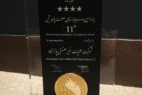 تندیس چهارستاره صنعت پتروشیمی به پازارگاد رسید