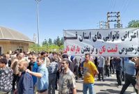 ماجرای تجمع نانوایان در برخی شهرها؟