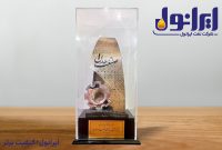 انتخاب روغن موتور «ایرانول سوپر اسپورت» به‌عنوان نوآوری برتر ایرانی